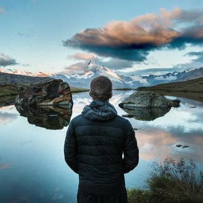 52-Maxpet Litter 5L  Lemon