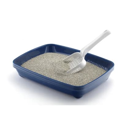 Cat Litter Box Small With Scoop