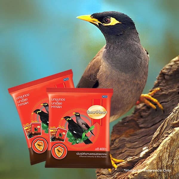 SmartHeart Mynah Bird Food 400gm