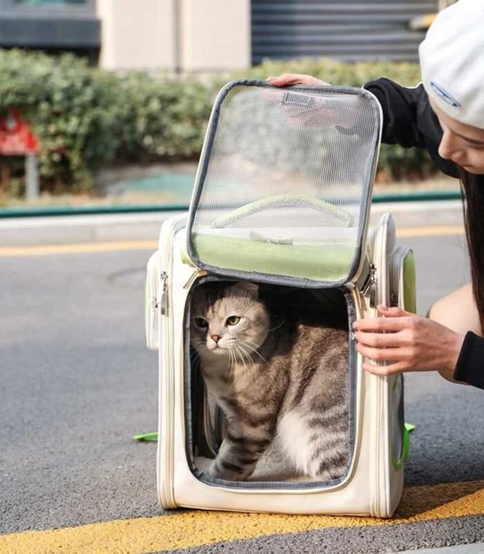 Moorpet Large Sized King Design Expandable Pet Carrier Backpack for Pet Cat & Puppy