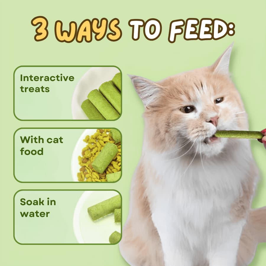 Cat Grass 6pcs Teething Stick set with Chicken Flavor for Pet Cat (30g)