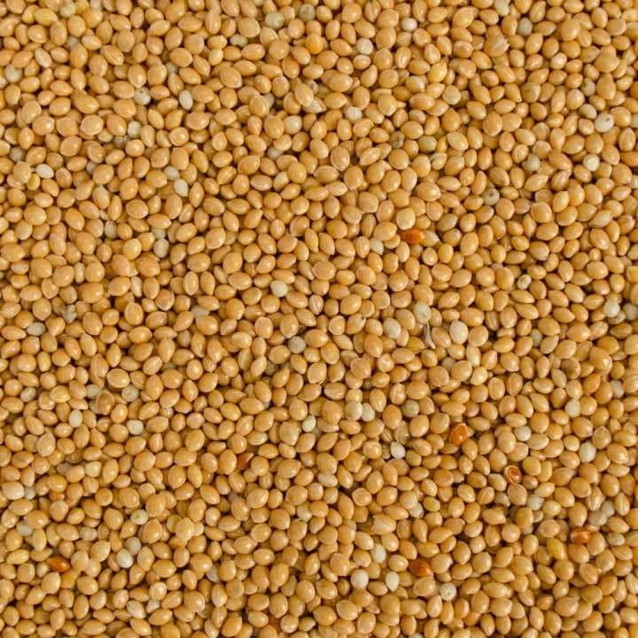 Yellow Millet Bird Food 1kg