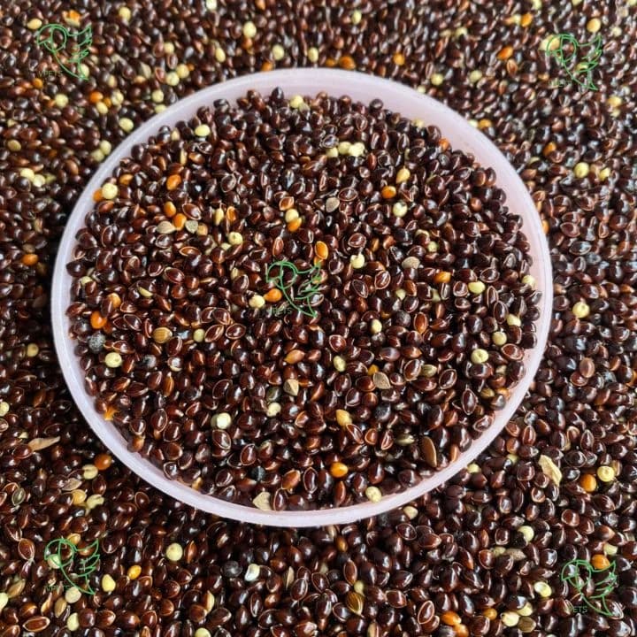 Black Millet Bird Food 1kg