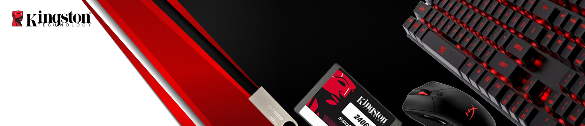 Picture for brand Kingston