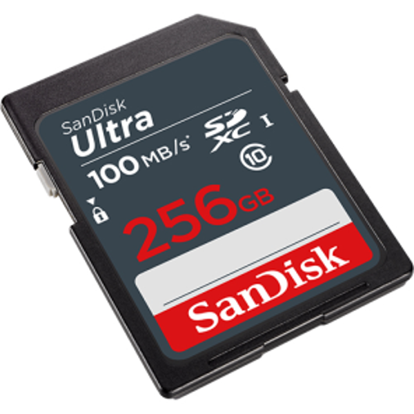 Picture of SanDisk 256 GB 120MB/S C10 U1 Full HD SD Card