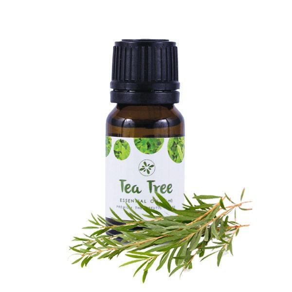 Picture of Skin Cafe 100% Natural Essential Oil – Tea Tree - 10ml