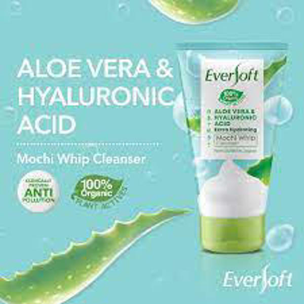 Picture of Eversoft Facewash Aloe Vera 120gm