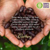 Picture of Cadbury Dairy Milk Crackle Chocolate Bar 36gm