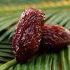 Picture of Medjool VIP Dates Premium 1KG