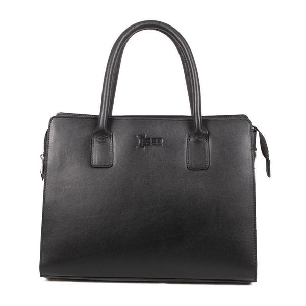 Picture of SSB Women's Luxury Bag & Ladies Purse Handbag SB-HB535