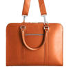 Picture of Tan Color Carl Executive Bag SB-LB415