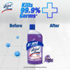 Picture of Lizol Floor Cleaner Floral 1L