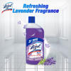 Picture of Lizol Floor Cleaner Floral 1L