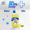 Picture of Harpic Double Surokkha (Harpic Toilet Cleaning Liquid 750 ml + Lizol Floor Cleaner 500 ml Citrus)