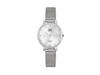 Picture of Q&Q Superior Mesh Stainless Steel Women's Watch (S401J211Y)