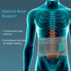 Picture of TYNOR LUMBO SACRAL BELT GREY SIZE - L
