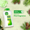 Picture of Dettol Antibacterial Bodywash Original 250 ml Loofah Free