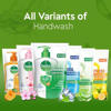 Picture of Dettol Handwash 170 ml Refill Aloe Vera