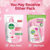 Picture of Dettol Handwash 170 ml Refill Poly Skincare X 2 (Free Tiffin Box)