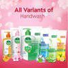 Picture of Dettol Handwash 170 ml Refill Poly Skincare X 2 (Free Tiffin Box)