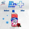 Picture of Lizol Floor Cleaner 500ml Floral