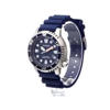 Picture of Citizen BN0151-09L Eco-Drive Promaster Professional Diver Men’s Watch