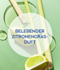 Picture of Nivea Female Shower Gel Lemongrass & Oil 250ml (81067D)