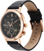 Picture of Fastrack 3287WL02 Tick Tock Brown Dial Watch for Guys