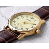 Picture of Casio Enticer Brown Belt Watch MTP-V001GL-9BUDF