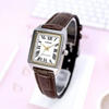 Picture of Casio Standard Ladies Belt Watch LTP-V007L-7B2UDF