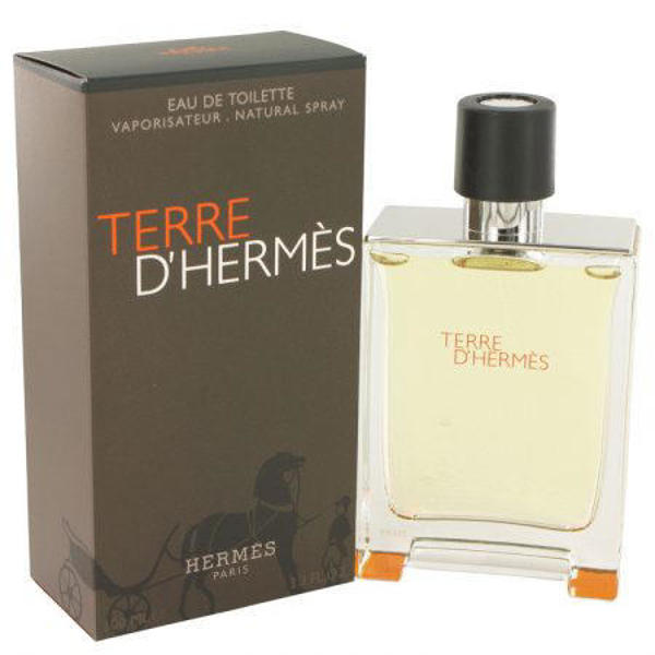 Picture of Hermes Terre D'hermes EDT 100ML for Men