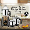 Picture of McCoy Ebony 750W 3 Jars Mixer Grinder