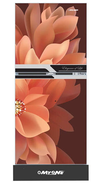 Picture of MyOne 165L Two Door Frost Refrigerator (MY-1F5G)