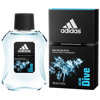Picture of Adidas Ice Dive EDT 100ML for Men