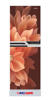 Picture of MyOne 302L Two-Door Top Frost Refrigerator (MY-3X2G)