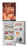 Picture of MyOne 302L Two-Door Top Frost Refrigerator (MY-3X2G)
