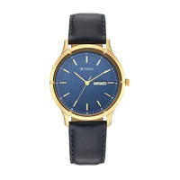 Picture of Titan 1775YL02 Lagan Blue Dial Day Date Leather Watch for Men