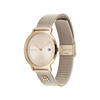 Picture of Tommy Hilfiger Tea Carnation Gold Mesh Watch for Women (TW000300)