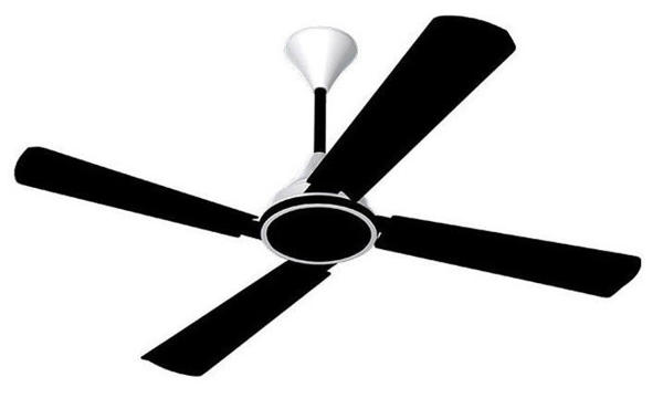 Picture of Conion Signature 56 Inch 4 Blades Ceiling Fan