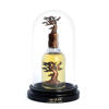 Picture of Eternal Oud Lattafa Perfumes for women and men