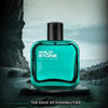 Picture of Wild Stone Edge EDP 100ML Perfume for Men