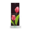 Picture of Minister M-175 Tulip